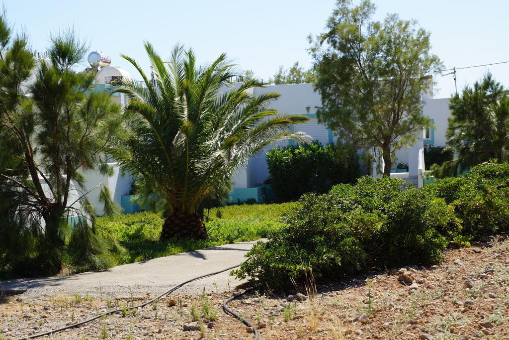 Notos Villas Frangokastello Habitación foto